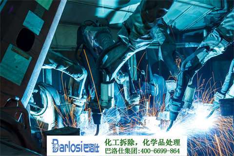 沈阳椰子清洗：打破传统清洗方式，让椰子洁净又卫生